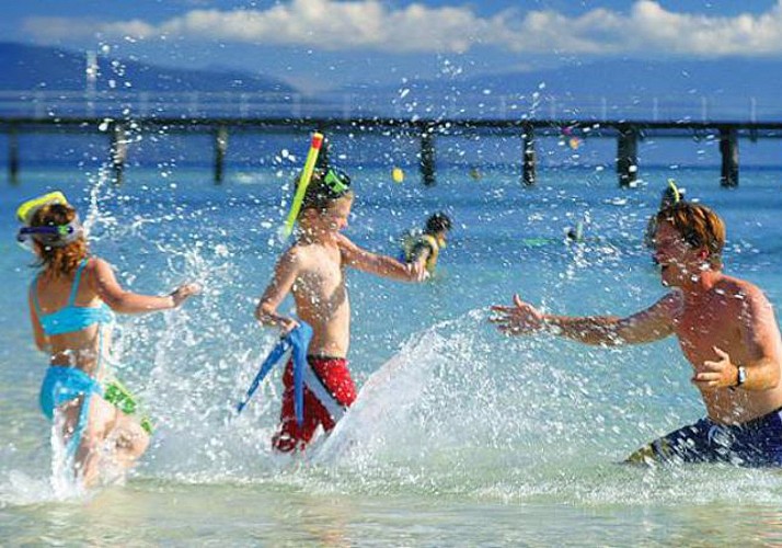 Half-Day Cruise on the Great Barrier Reef and Optional Tour by Semi-Submarine – Departing from Cairns