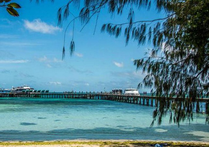 Half-Day Cruise on the Great Barrier Reef and Optional Tour by Semi-Submarine – Departing from Cairns