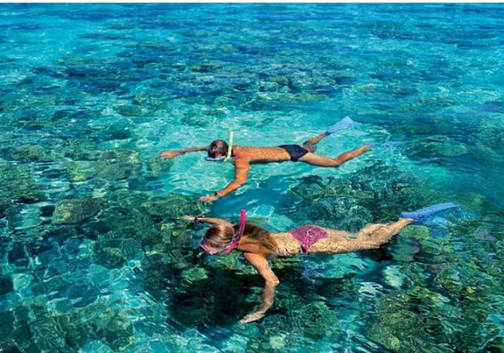 Half-Day Cruise on the Great Barrier Reef and Optional Tour by Semi-Submarine – Departing from Cairns