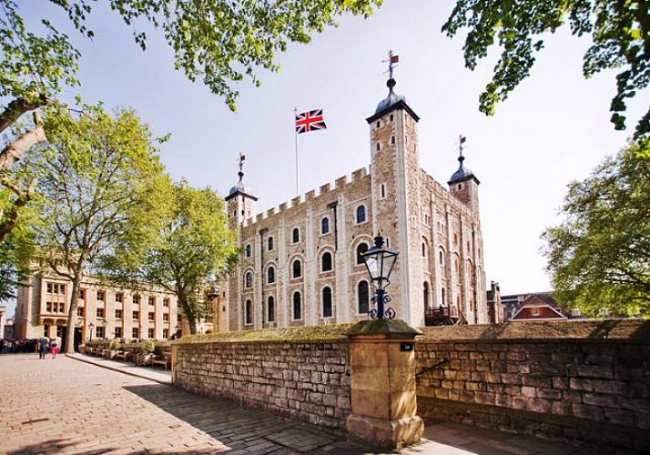 Visite de la Tour de Londres et de Tower Bridge - Avec guide privé