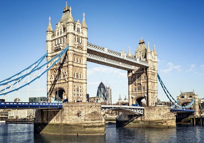 Visite de la Tour de Londres et de Tower Bridge - Avec guide privé