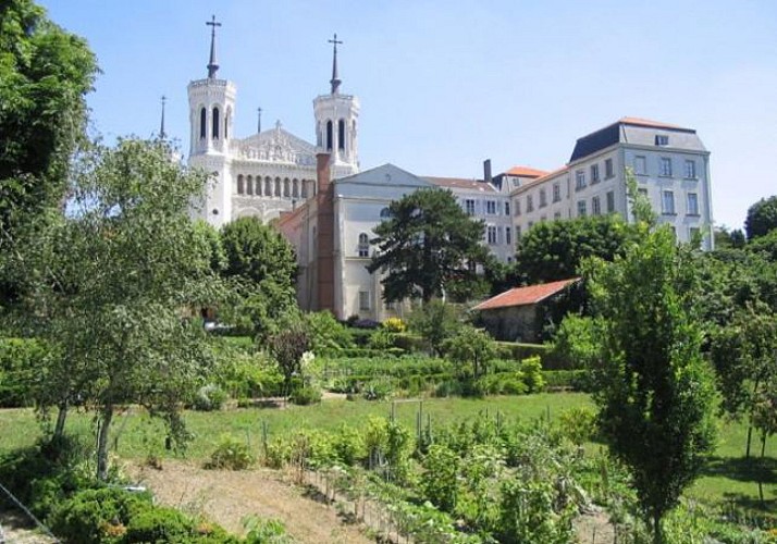 Pass Lyon 1, 2 o 3 días: visitas, transportes, actividades culturales