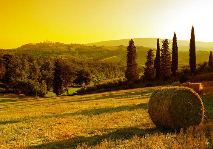 Excursion to San Gimignano & Montalcino – Departing from Siena