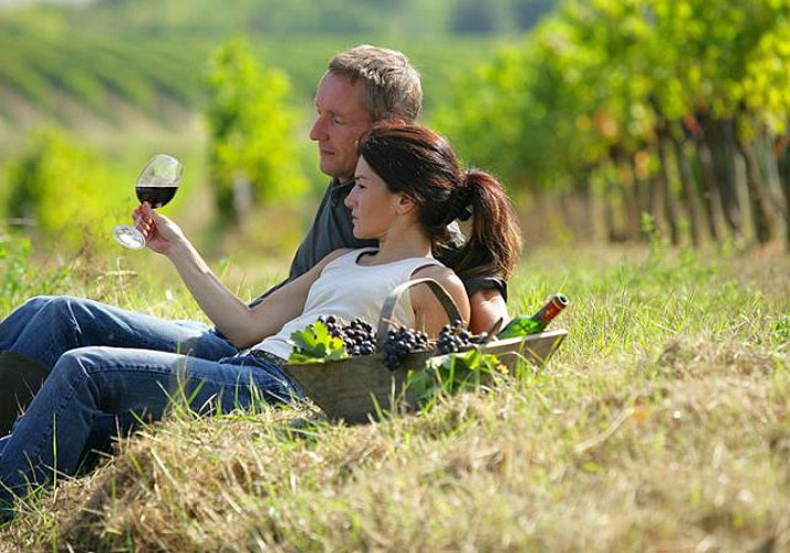 Excursion dans le Chianti à San Gimignano et Montalcino - au départ de Sienne