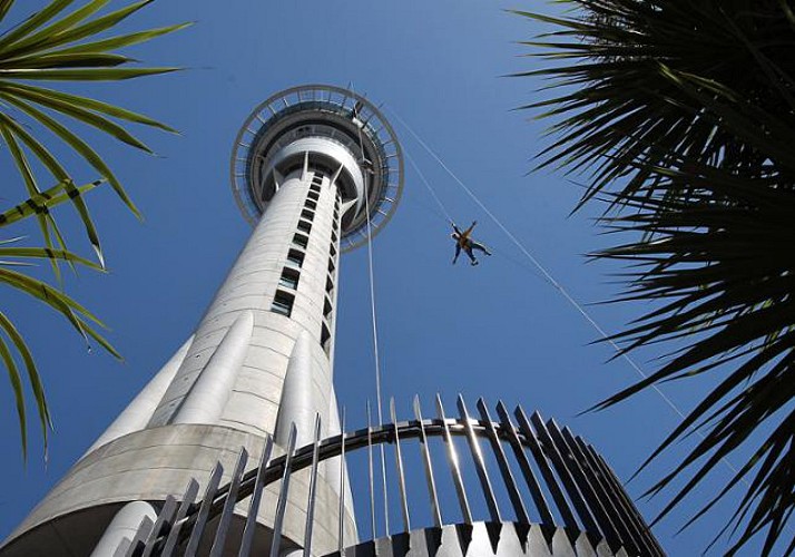 Tour 100 % adrénaline : marche à 360° au sommet de la Sky Tower + saut dans le vide