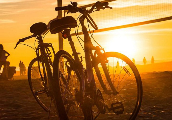 Alquiler de bicicleta en Los Ángeles - Duración 24 h