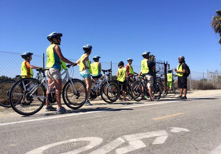 Guided Bike Tour of Los Angeles – 50km route