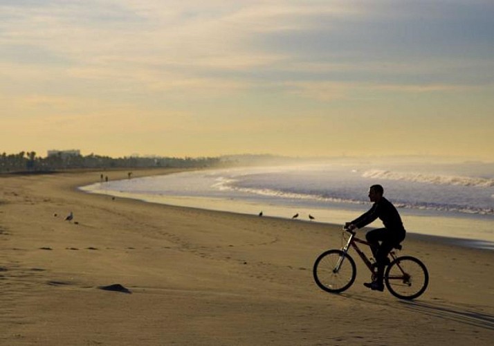 Visita guiada de Los Ángeles en bicicleta - Recorrido de 50 km