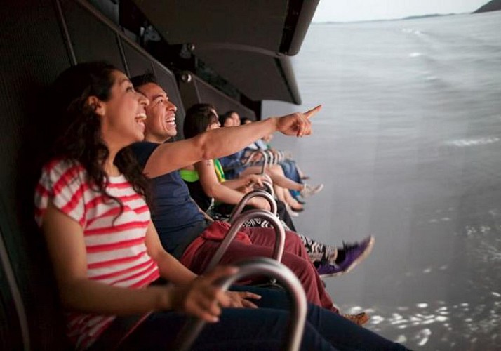 "FlyOver Canada" Tickets – Vancouver’s 4D cinema