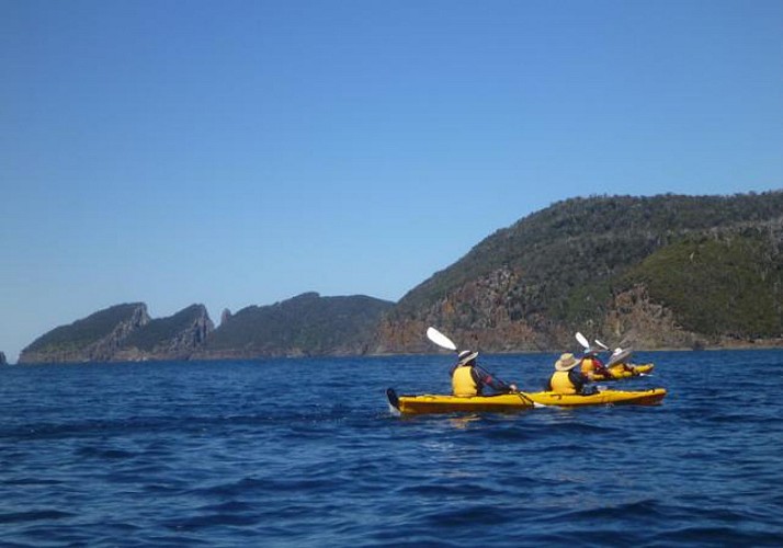 Excursion en kayak à la découverte de la presqu’île Tasman – Au départ de Hobart