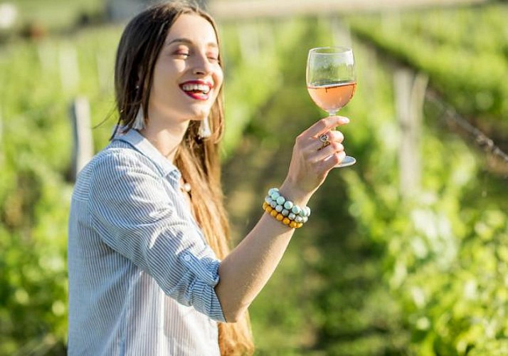 Discovering the vineyards of Medoc and Saint-Emilion: castles visits and wine tastings