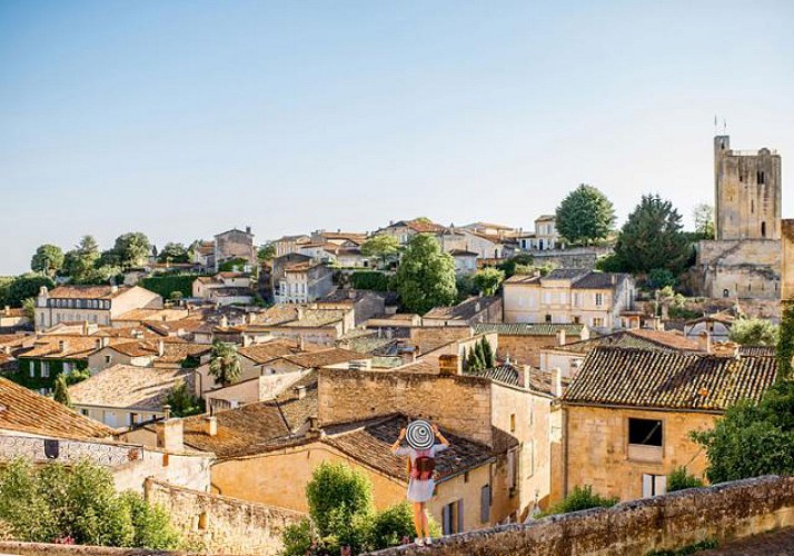 Discovering the vineyards of Medoc and Saint-Emilion: castles visits and wine tastings