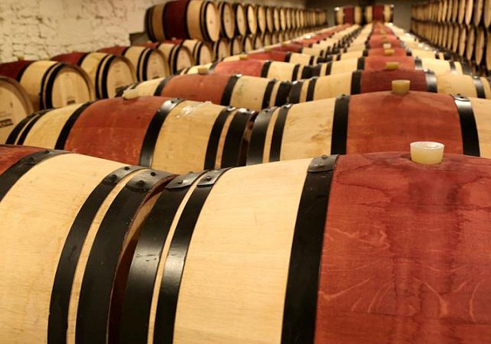 Découverte des vignobles du Médoc et de Saint-Emilion : visites de châteaux et dégustations de vins