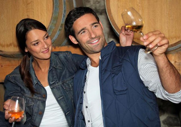 Après-midi dans le Médoc : visites de châteaux et dégustations de vins !