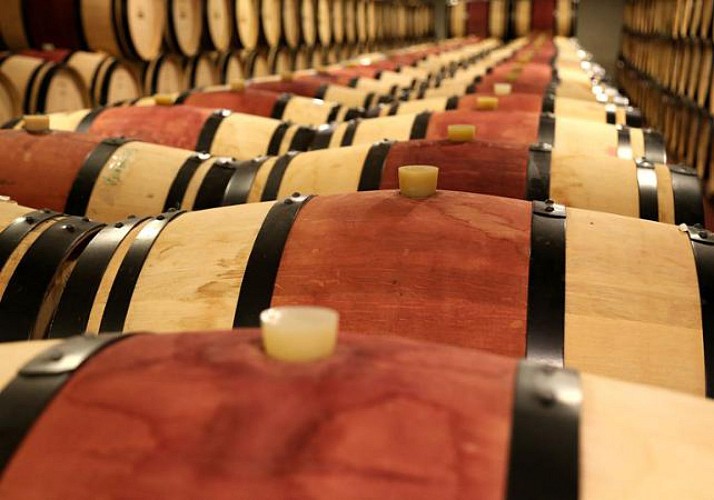 Après-midi dans le Médoc : visites de châteaux et dégustations de vins !