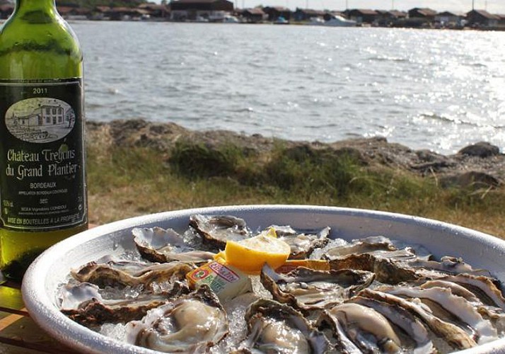 Découverte du Bassin d’Arcachon et de la Dune du Pilat