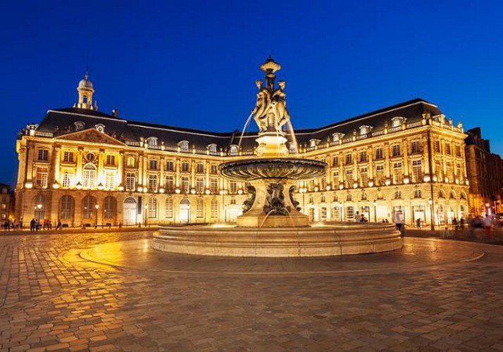 Visite privée en 2CV des monuments et quais de Bordeaux - en soirée