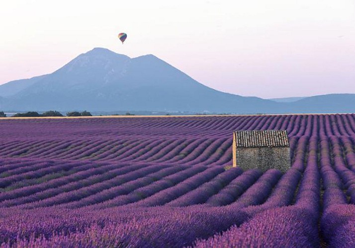 Vol en montgolfière en Provence