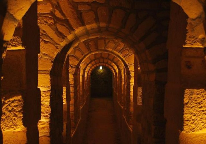 Visite guidée des catacombes - coupe file (en anglais exclusivement)