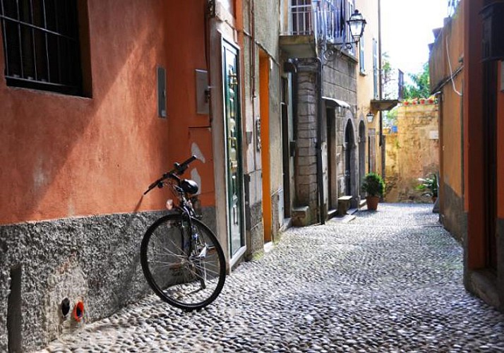 Découverte des villages pittoresques autour de Séville à vélo