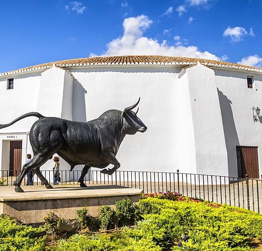 Excursión de Ronda y visita del Museo de Vino - Salida de la Costa del Sol