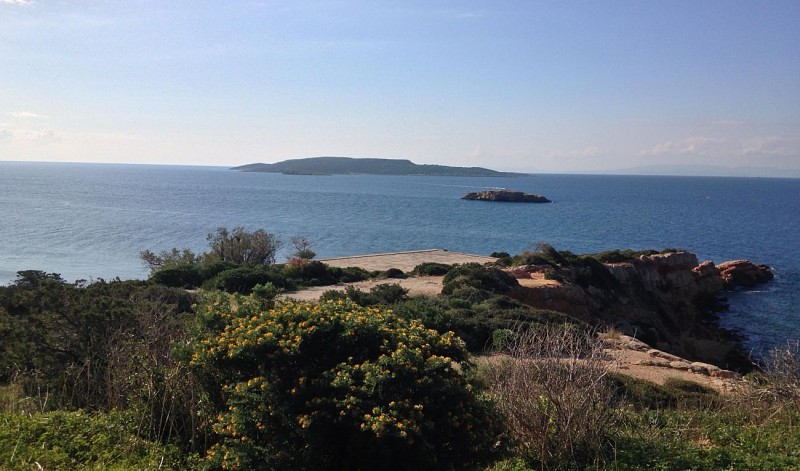 Passeggiata guidata in tripattino sulla costa ateniese