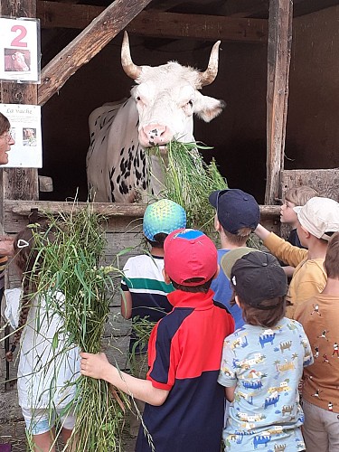 La ferme éducative AGF