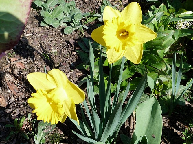 Le printemps s'installe timidement