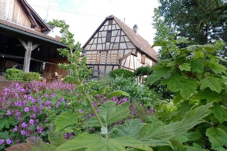 Ferienwohnung von Elyane WENDLING - au jardin d'Emilie - Erdgeschoss