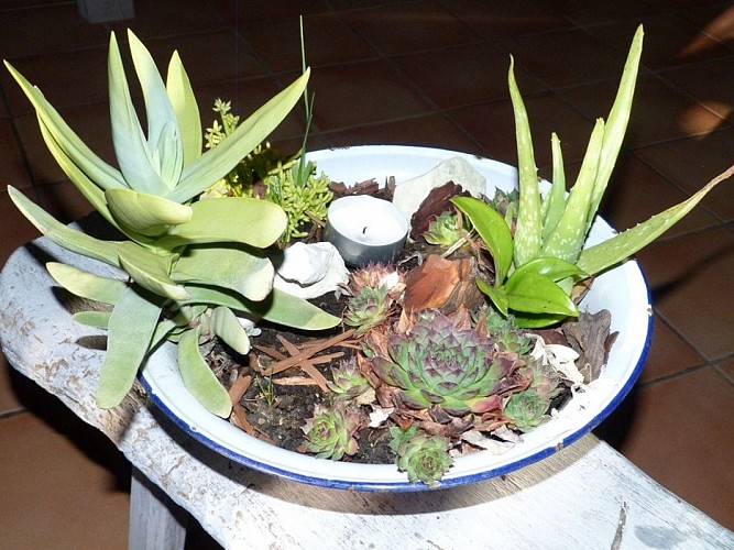 Ferienwohnung von Elyane WENDLING - au jardin d'Emilie - Erdgeschoss