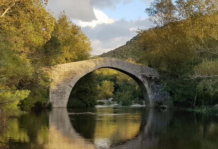 spina_cavaddu_4