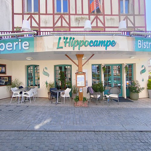 0-saint-pair-sur-mer-hippocampe