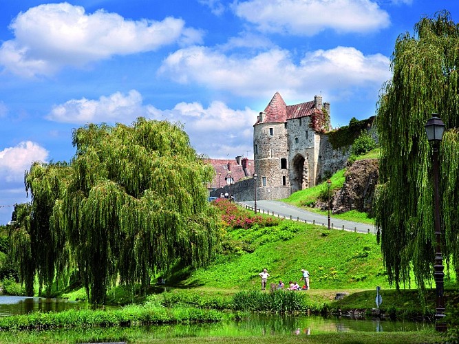 Découverte de Falaise