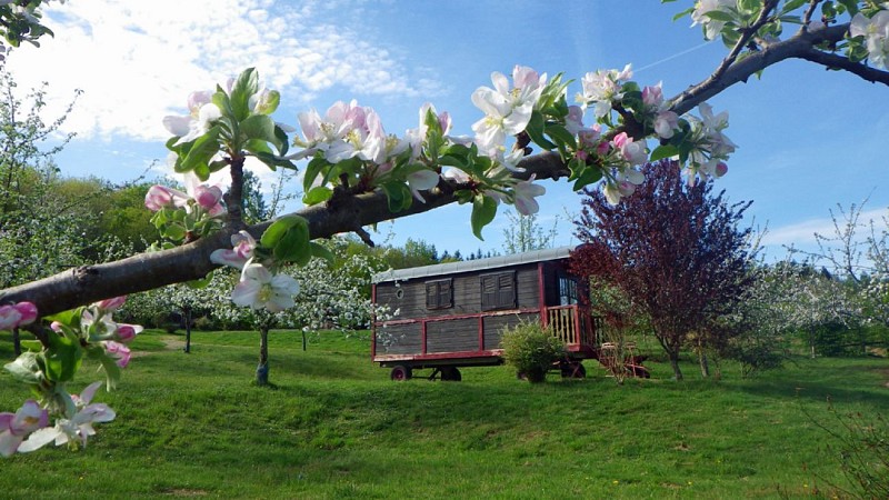 chamberet_village_des_monedieres_2_1