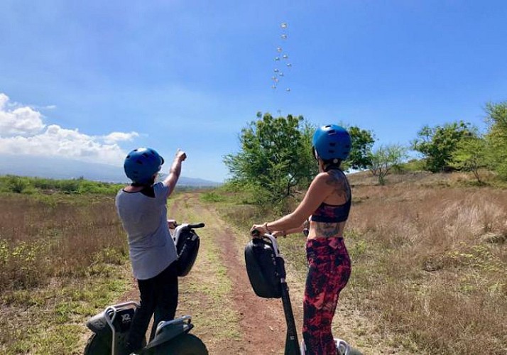 Balade nature en segway dans la forêt d’Etang salé - La Réunion