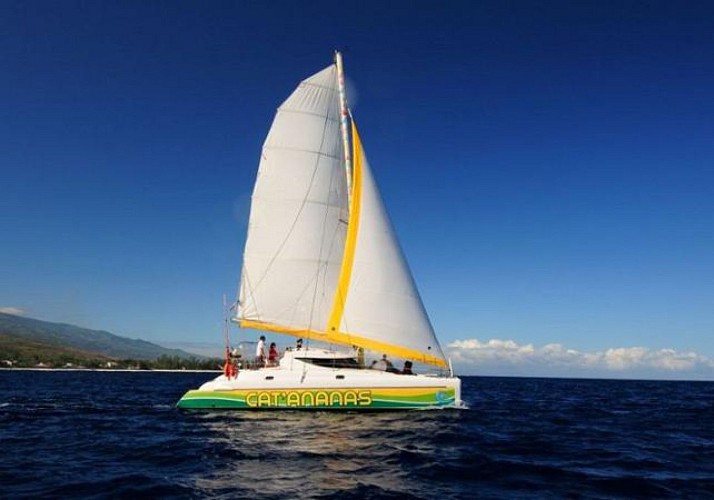 Croisière de 3h en catamaran à La Réunion au départ de Saint-Gilles-les-Bains - Boissons et collations incluses