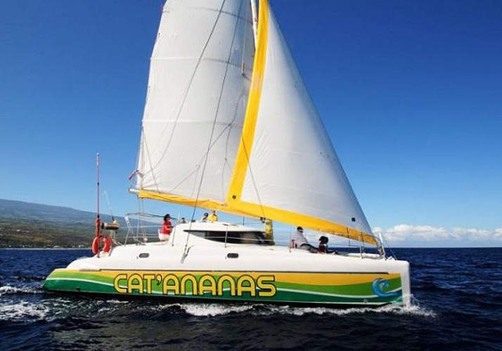 Croisière de 3h en catamaran à La Réunion au départ de Saint-Gilles-les-Bains - Boissons et collations incluses