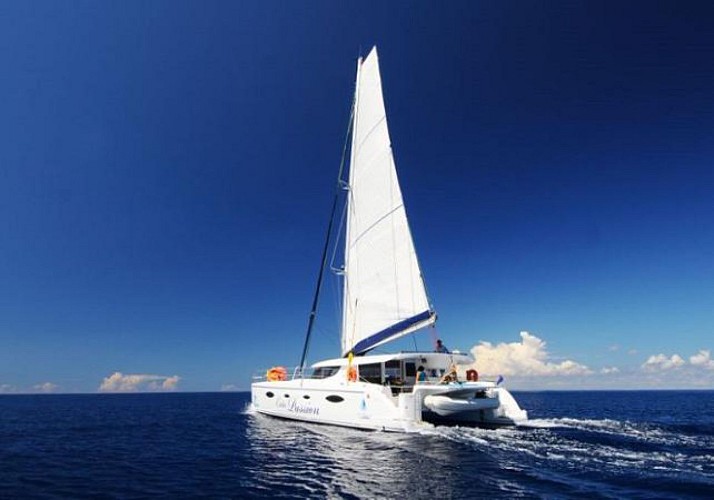 Croisière Premium de 3h en catamaran au large de La Réunion, au départ de Saint-Gilles-les-Bains - Cocktails et snacks inclus