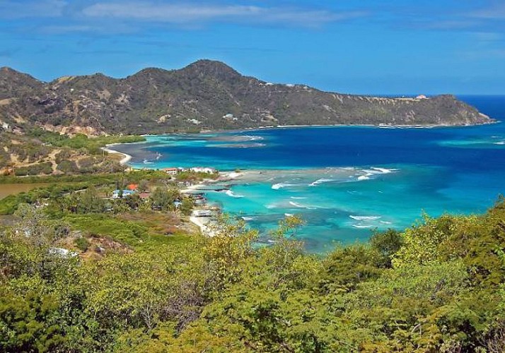 Croisière Premium de 3h en catamaran au large de La Réunion, au départ de Saint-Gilles-les-Bains - Cocktails et snacks inclus