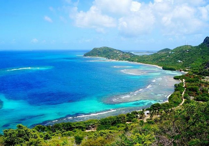Croisière Premium de 3h en catamaran au large de La Réunion, au départ de Saint-Gilles-les-Bains - Cocktails et snacks inclus