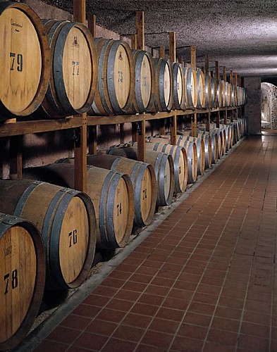 Excursión a la región de Castelli Romani - Cata de vinos