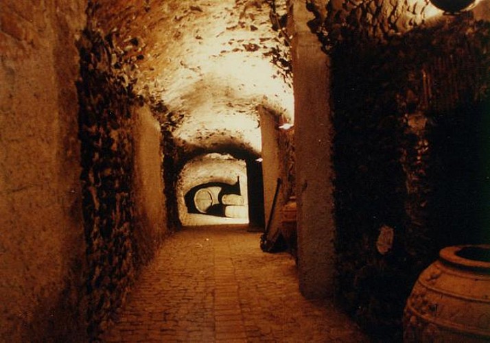 Excursion dans la région des Castelli Romani – dégustation de vins