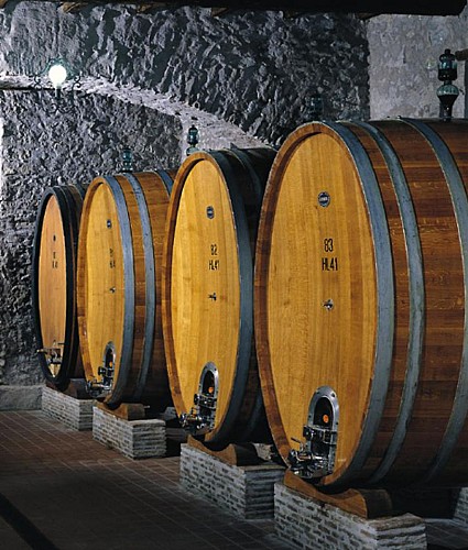 Excursion dans la région des Castelli Romani – dégustation de vins