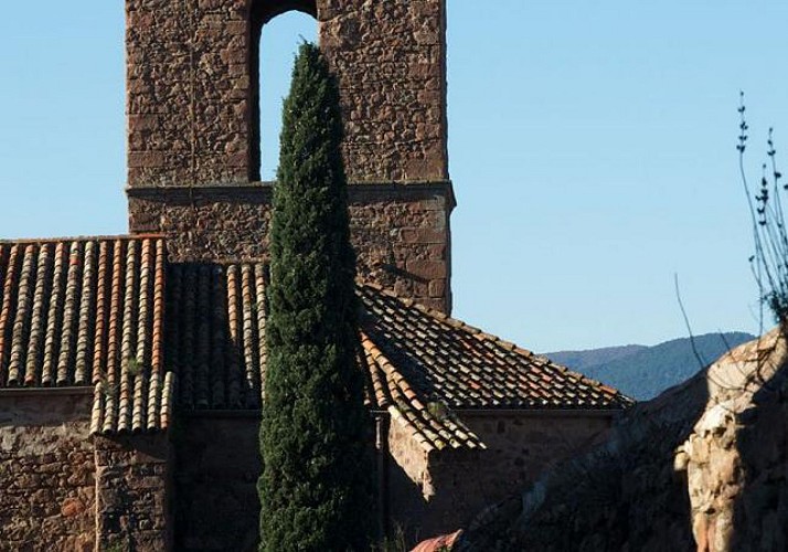 Visite commentée de Fréjus, la "Pompéi Provençale"