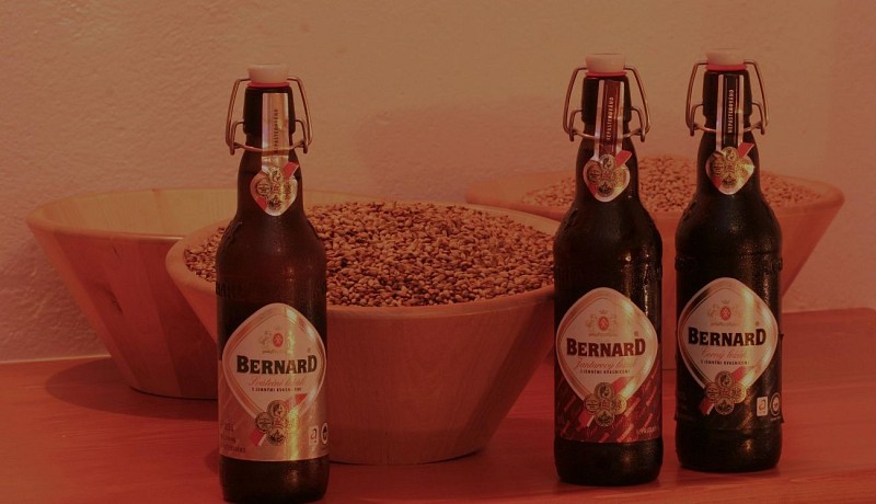 Détente au Beer Spa à Prague avec bière à volonté - massage en option