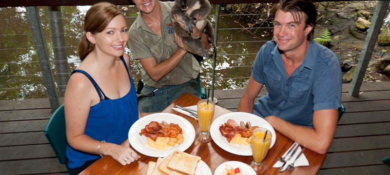 Petit déjeuner avec les Koalas + Visite guidée du WILD LIFE Sydney Zoo - Billet coupe-file