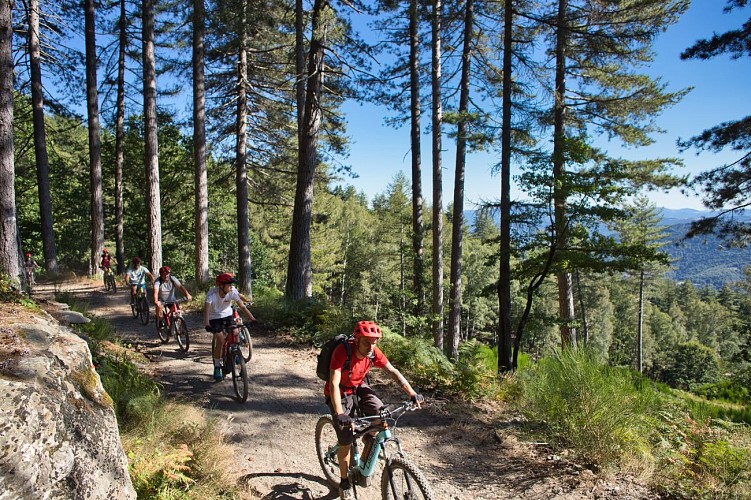 Sentiers vagabonds location de vélos