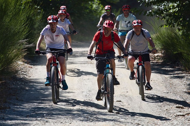 Sentiers vagabonds location de vélos