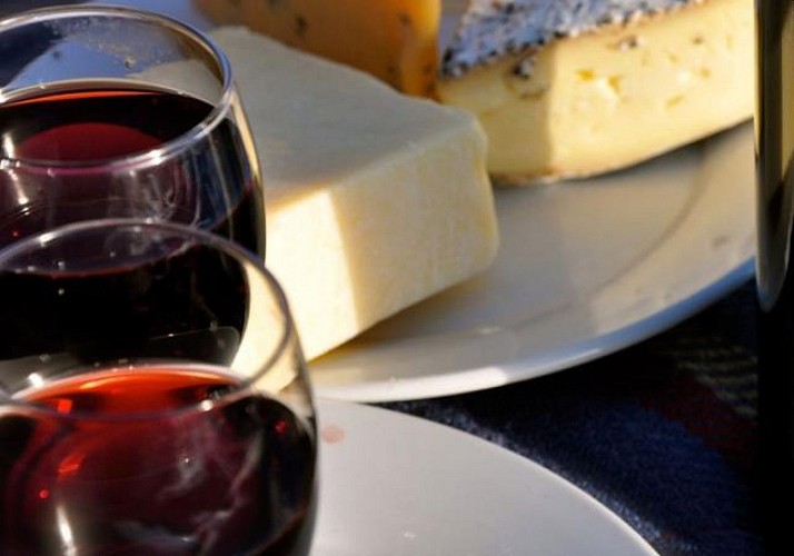 Dégustation de vin, de fromages et d’huile d’olive à Florence