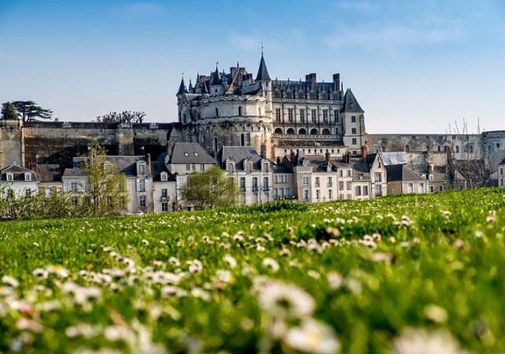 Discovery Day in a Minibus: Châteaux d'Amboise, Chenonceau, Chambord & Clos Lucé – Leaving from Tours